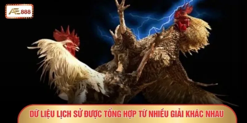 Thuật Ngữ Đá Gà - 30 Khái Niệm Sát Phạt Dễ “Bay Màu” 4 Dữ liệu lịch sử được tổng hợp từ nhiều giải khác nhau
