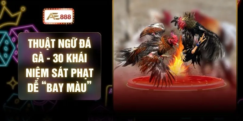 Thuật Ngữ Đá Gà - 30 Khái Niệm Sát Phạt Dễ “Bay Màu” 1 Thuật Ngữ Đá Gà - 30 Khái Niệm Sát Phạt Dễ “Bay Màu”