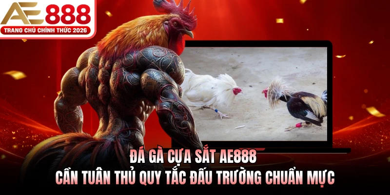 Đá Gà Cựa Sắt AE888 Đỉnh Cao 2026, Tỷ Lệ Thưởng Cực Lớn 3 Đá gà cựa sắt AE888 cần tuân thủ quy tắc đấu trường chuẩn mực